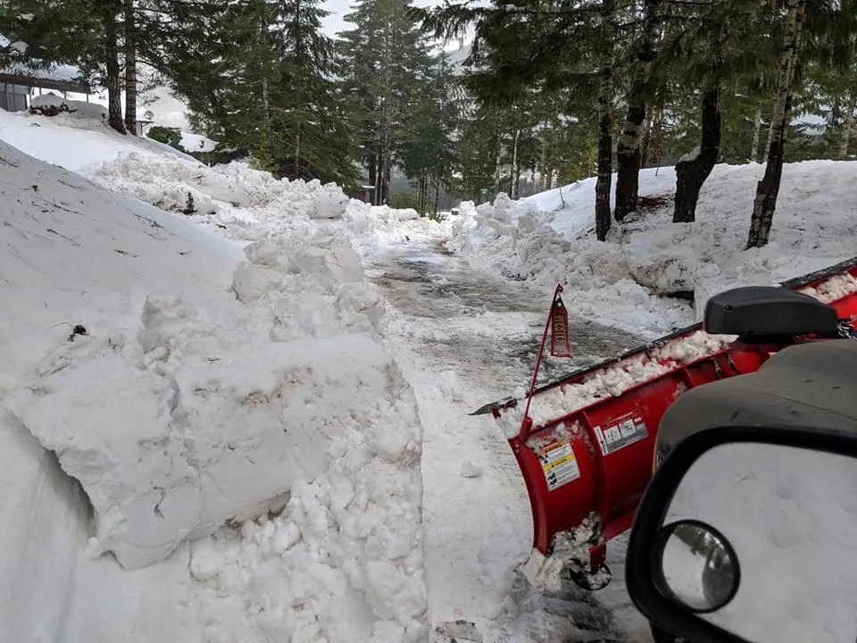 Trusted landscape installation for year-round maintenance across Port Angeles, WA - Bizy Boys Lawn and Yard Care