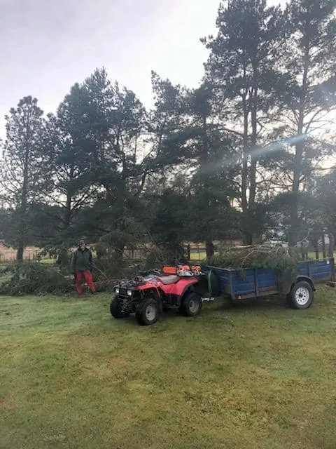 Affordable outdoor landscaping in Port Angeles, WA by Bizy Boys Lawn and Yard Care