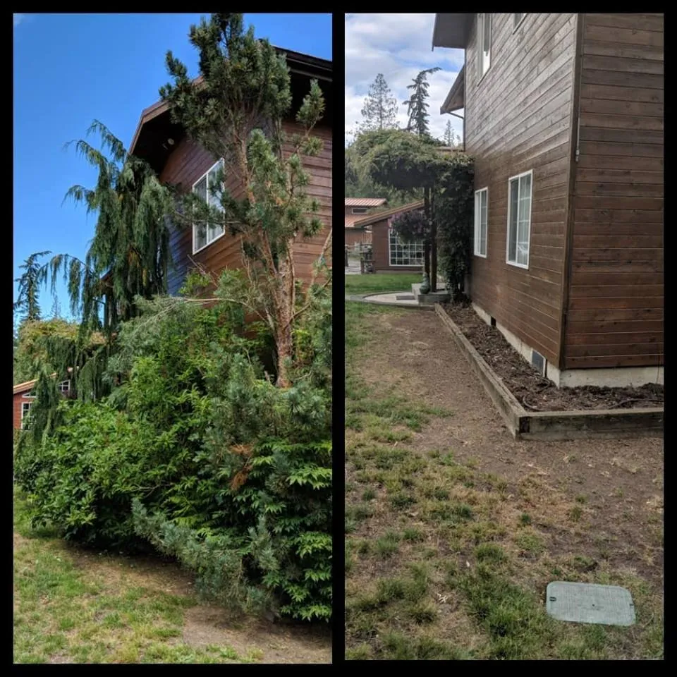 Expert lawn mowing service in Port Angeles, WA - Bizy Boys Lawn and Yard Care