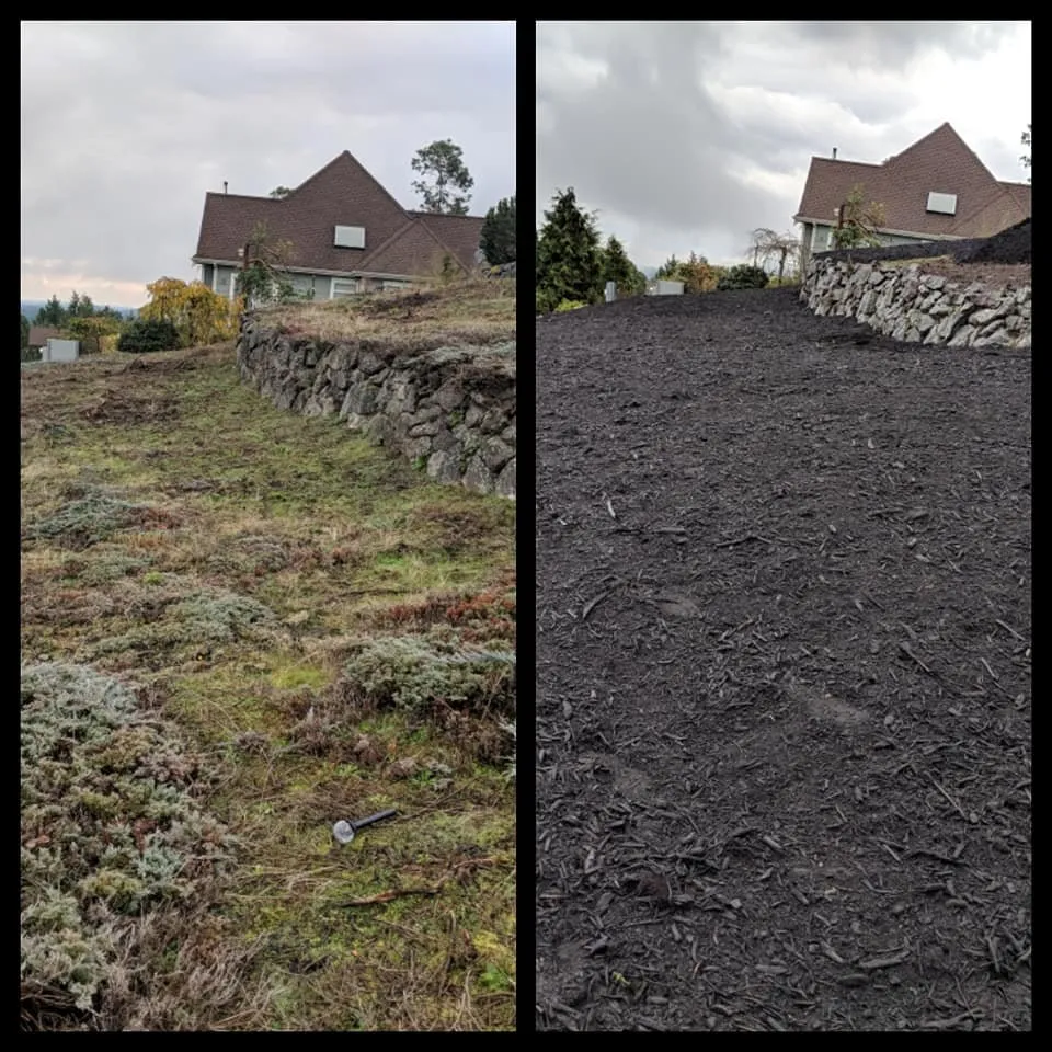 Trusted residential landscaping in Port Angeles, WA by Bizy Boys Lawn and Yard Care