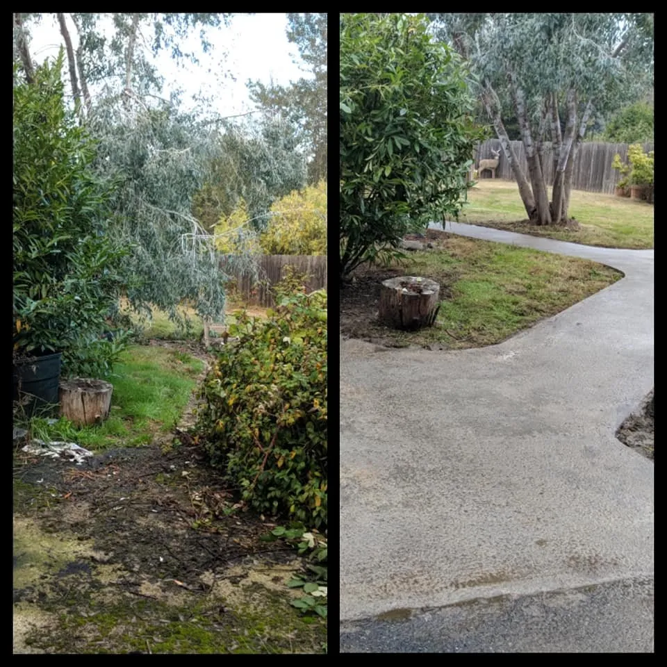 Top-rated landscaping services experts serving Port Angeles, WA - Bizy Boys Lawn and Yard Care