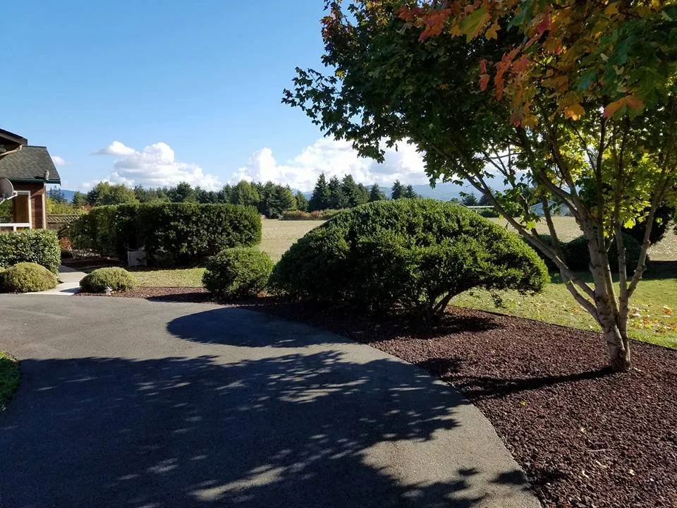 Professional lawn care service for year-round maintenance in Port Angeles, WA by Bizy Boys Lawn and Yard Care