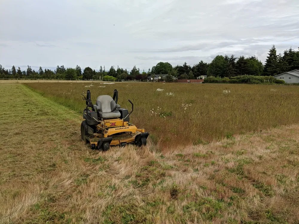 Reliable yard cleanup service in Port Angeles, WA - Bizy Boys Lawn and Yard Care