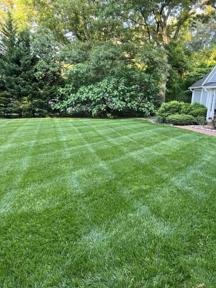 Professional yard cleanup service in Roxboro, NC - Bizzell And Son Landscaping