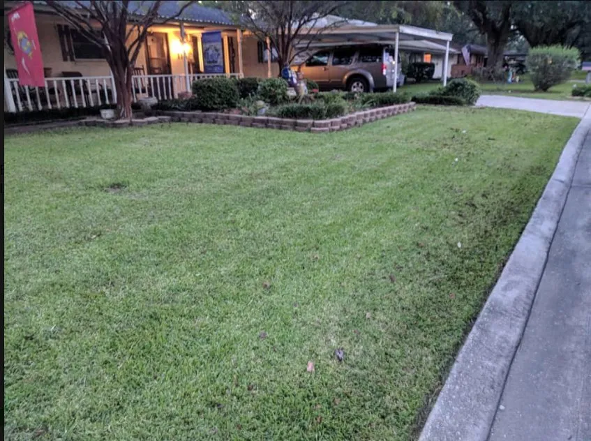 Affordable yard maintenance experts serving New Iberia, LA - Bizzy Bee Lawn Care