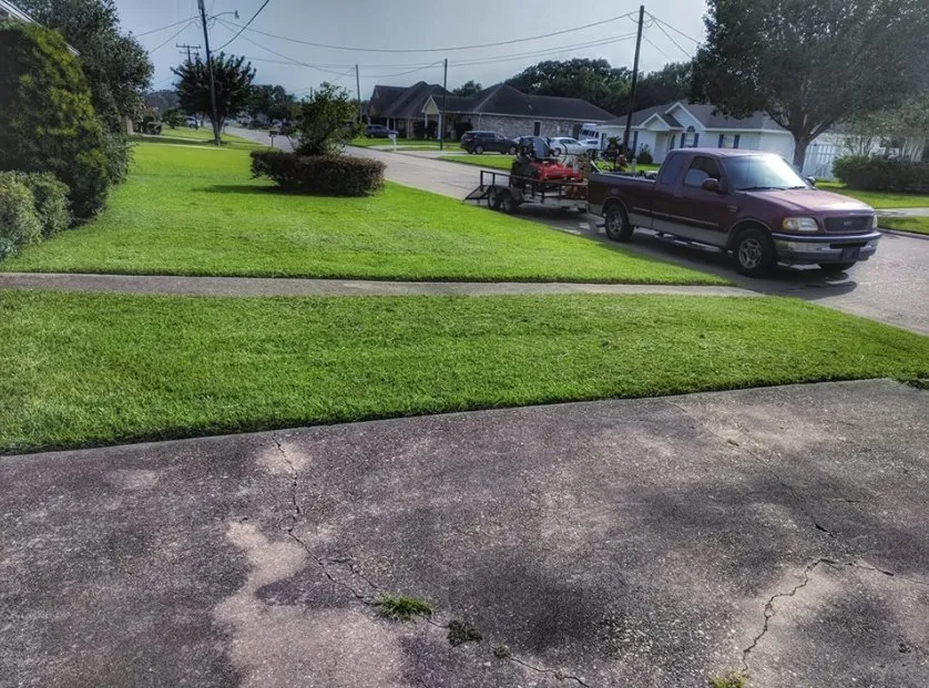 Top-rated lawn care service for year-round maintenance across New Iberia, LA - Bizzy Bee Lawn Care