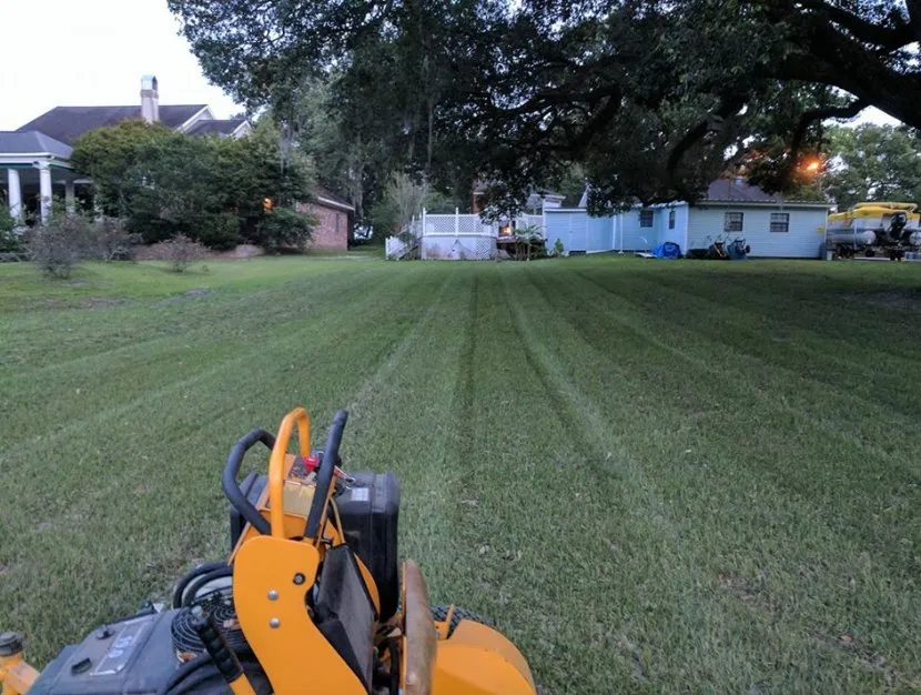 Trusted landscape installation for residential properties across New Iberia, LA - Bizzy Bee Lawn Care