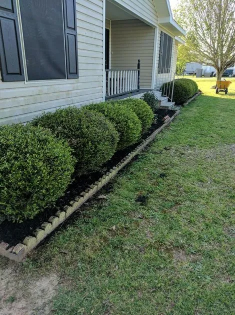 Top-rated yard cleanup service for beautiful yards in New Iberia, LA by Bizzy Bee Lawn Care