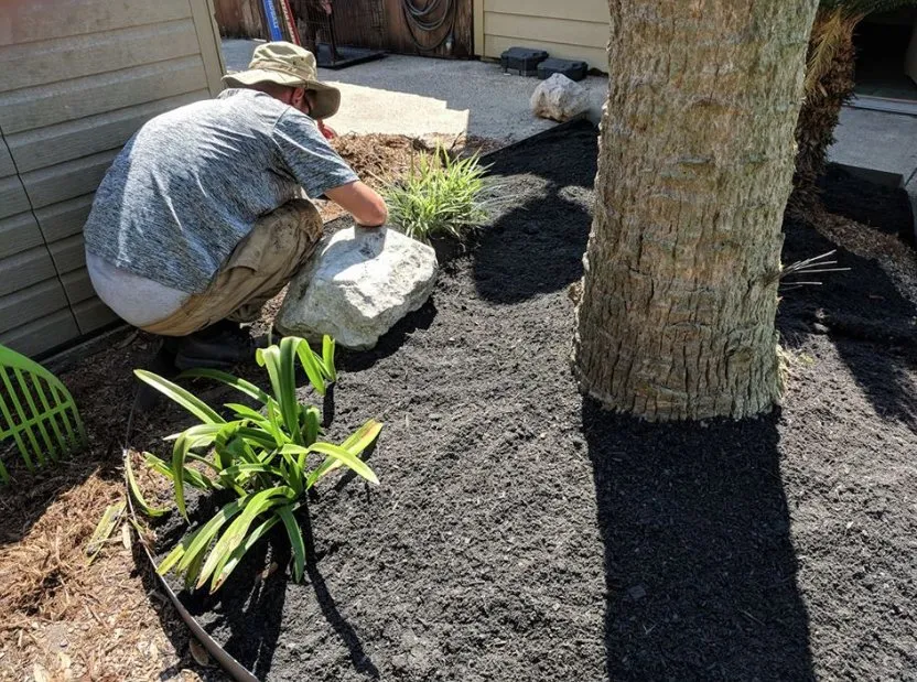 Affordable residential landscaping in New Iberia, LA by Bizzy Bee Lawn Care
