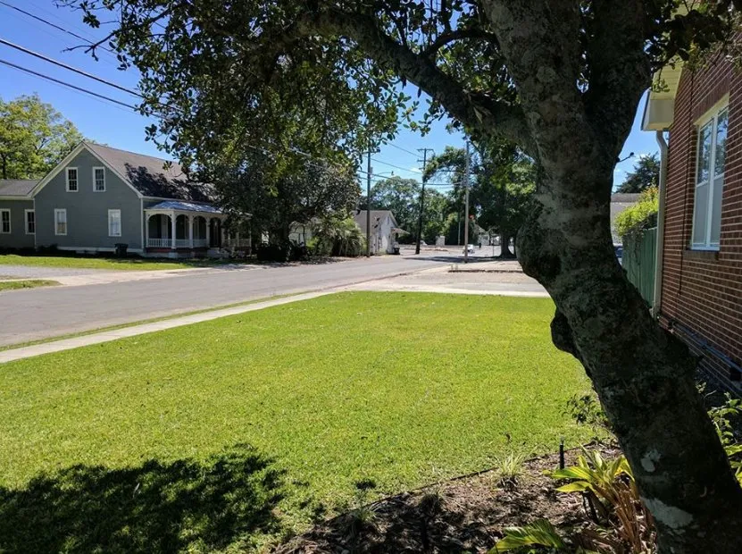 Local yard maintenance for outdoor upgrades across New Iberia, LA - Bizzy Bee Lawn Care