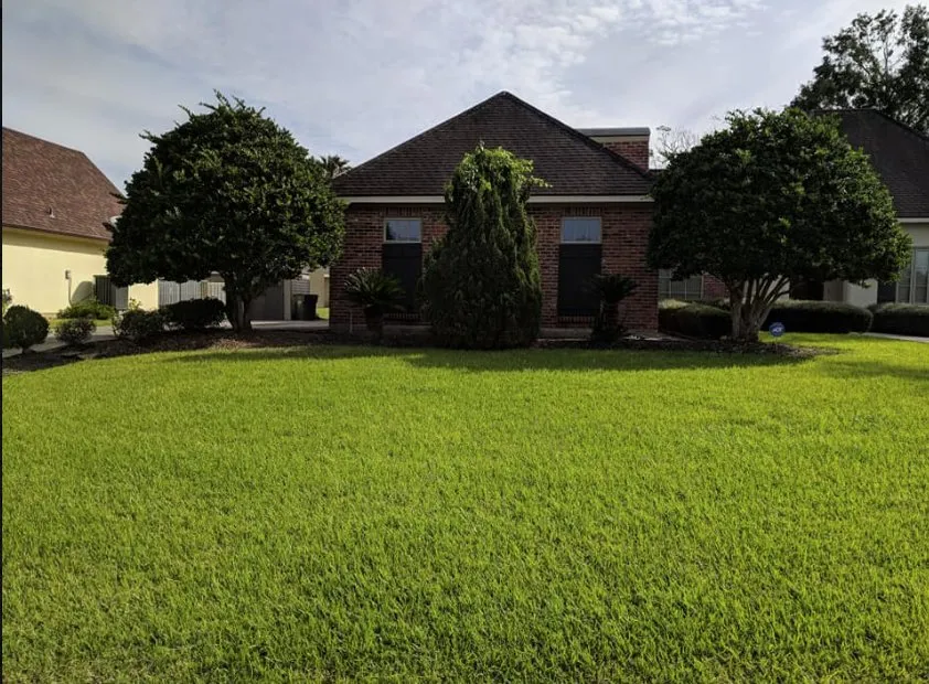 Top-rated outdoor landscaping for outdoor upgrades across New Iberia, LA - Bizzy Bee Lawn Care