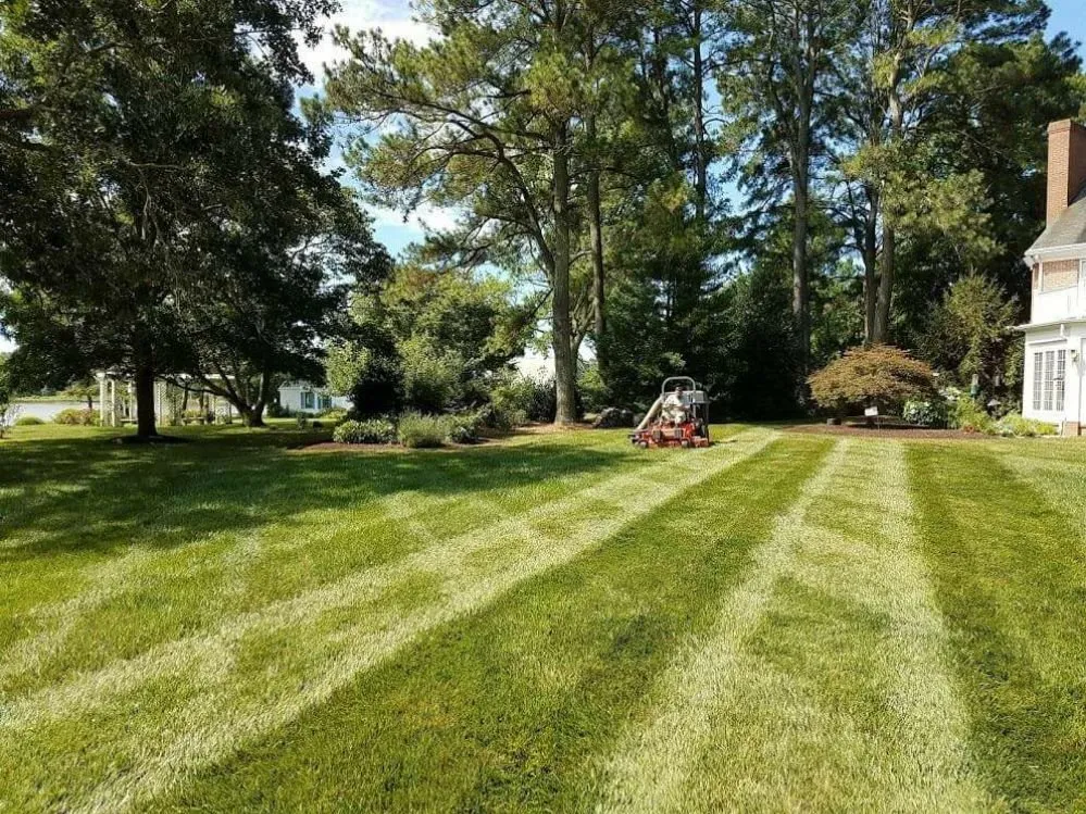Reliable lawn mowing service for residential properties across Trappe, MD - BJ and Son Property Management