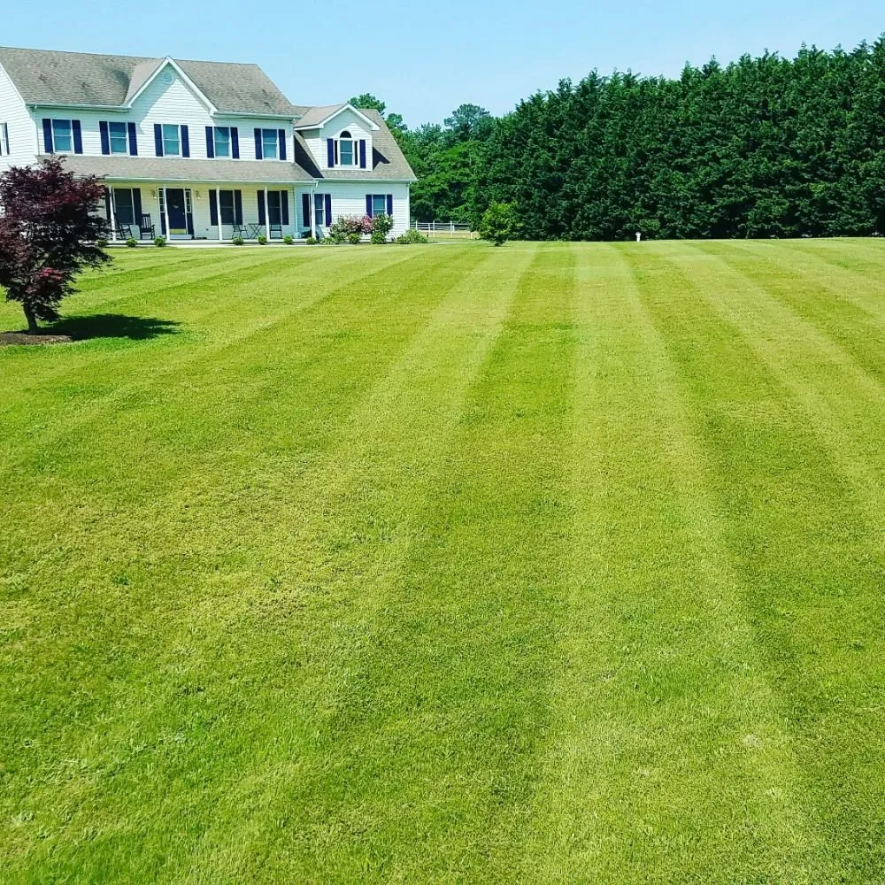 Trusted lawn care service in Trappe, MD by BJ and Son Property Management