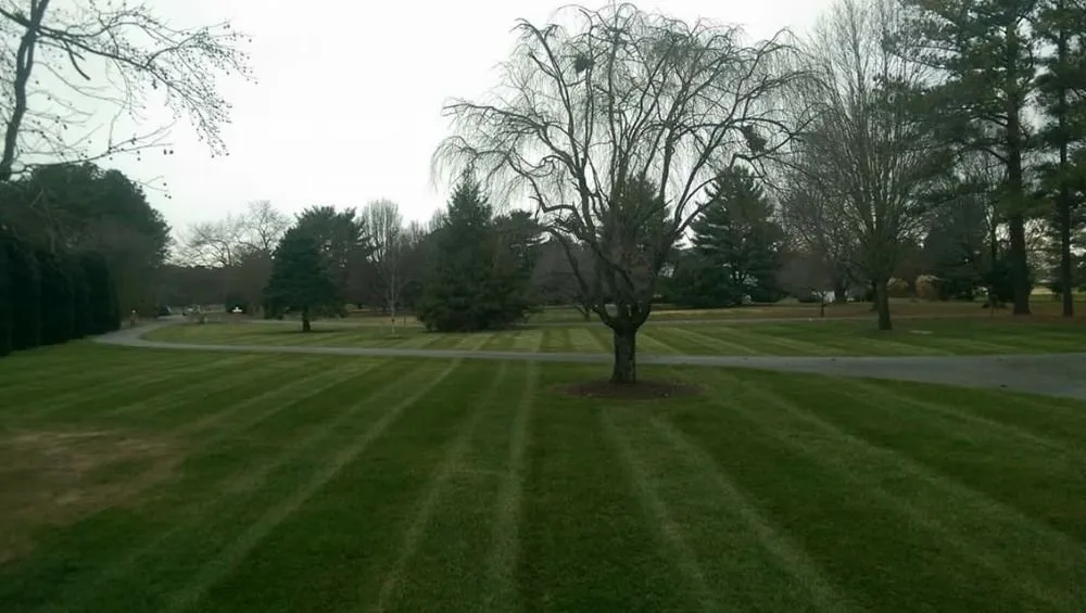 Top-rated landscaping services with custom design in Trappe, MD by BJ and Son Property Management