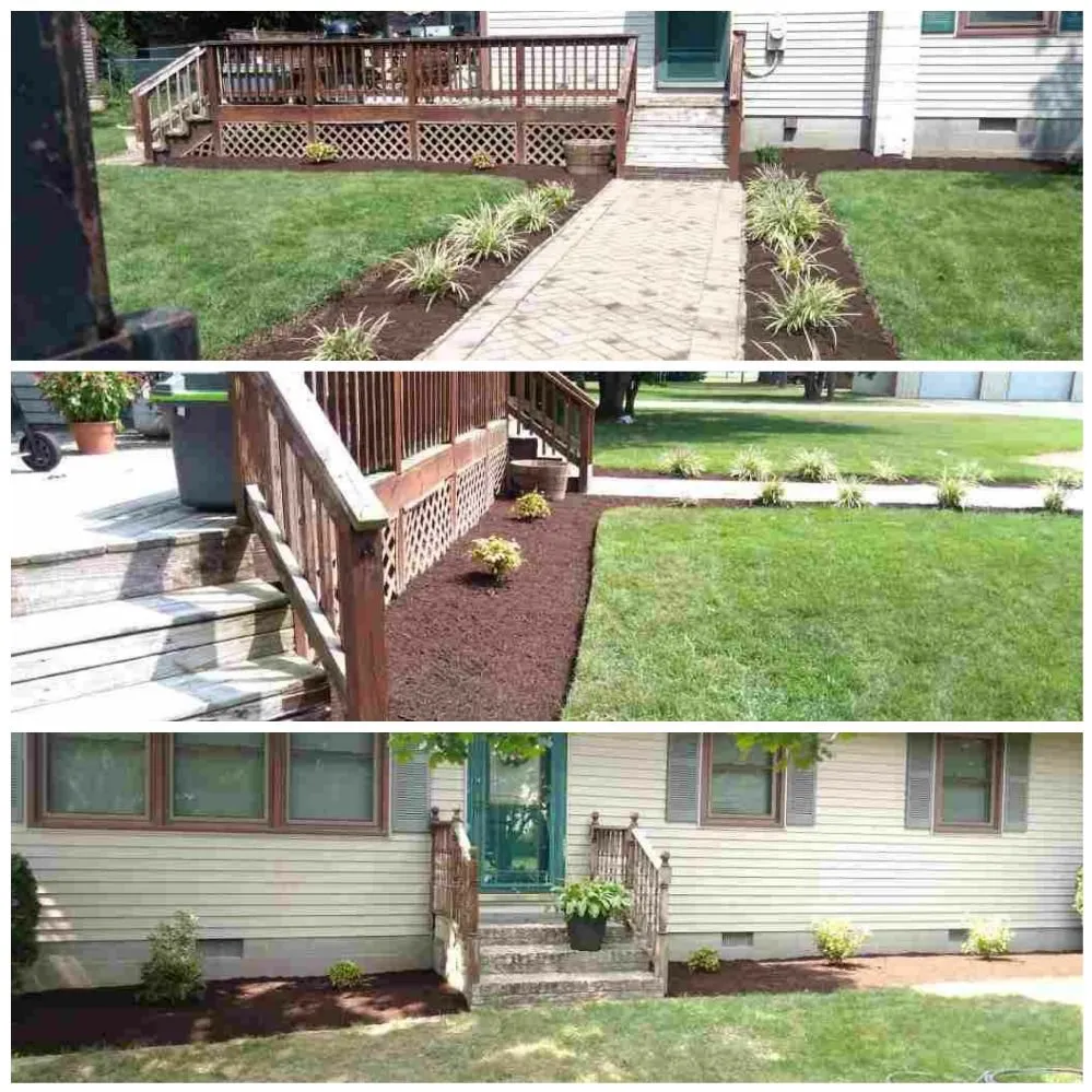 Expert lawn mowing service near you across Trappe, MD - BJ and Son Property Management