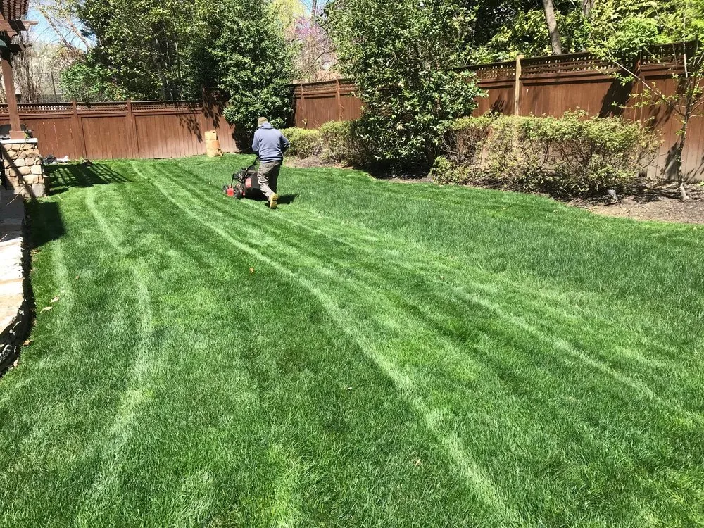 Expert yard maintenance near you across Dale City, VA - BJ Landscape