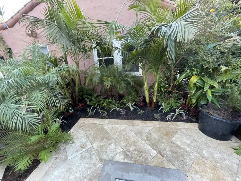 Professional landscaping services in Los Angeles, CA by Bj Landscaping