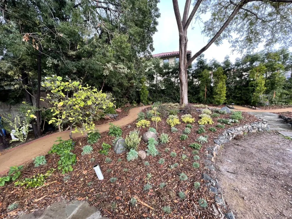 Local yard cleanup service experts serving Los Angeles, CA - Bj Landscaping
