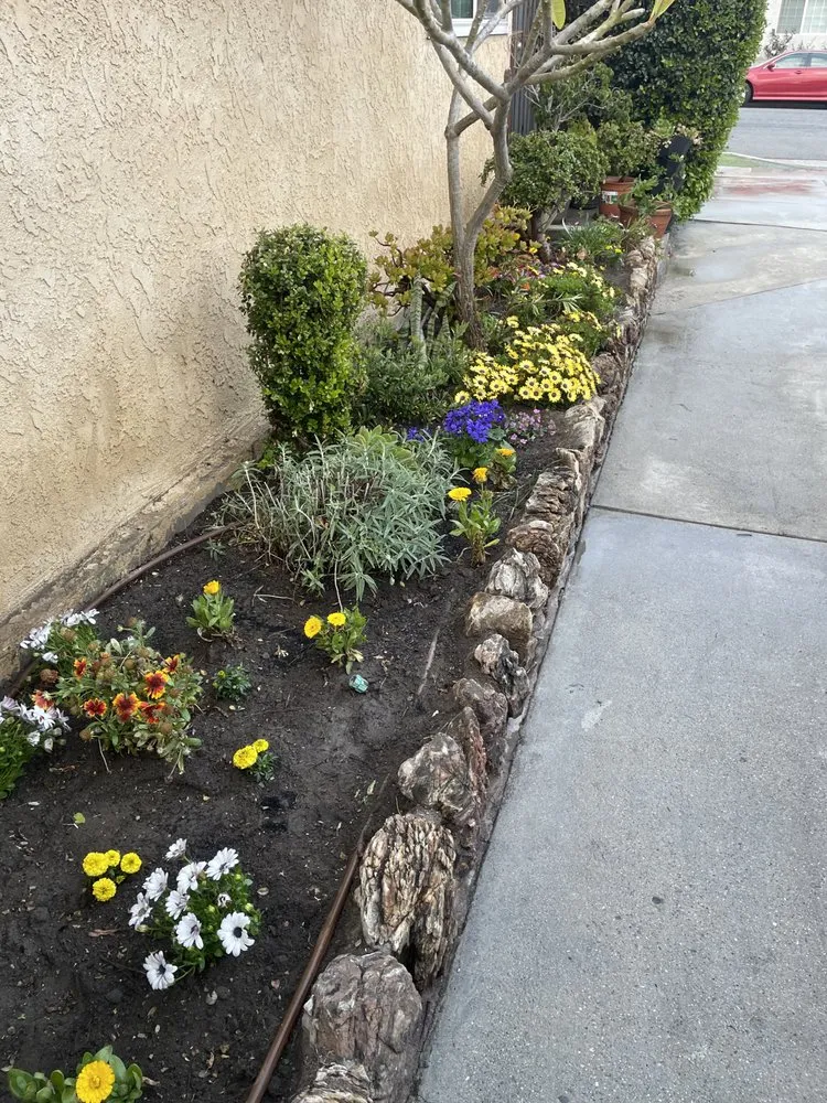 Affordable yard cleanup service for outdoor upgrades in Los Angeles, CA by Bj Landscaping