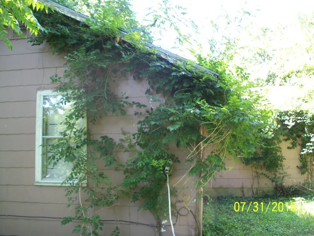 Top-rated residential landscaping with custom design across Gardner, KS - B&J Lawn Care