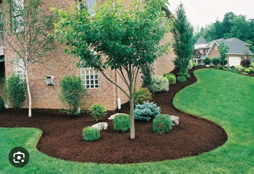 Local yard maintenance experts serving Memphis, TN - B&J Lawn Service