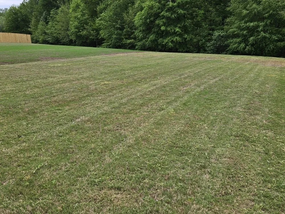 Custom landscape installation experts serving Madison, AL - BJ Mowing