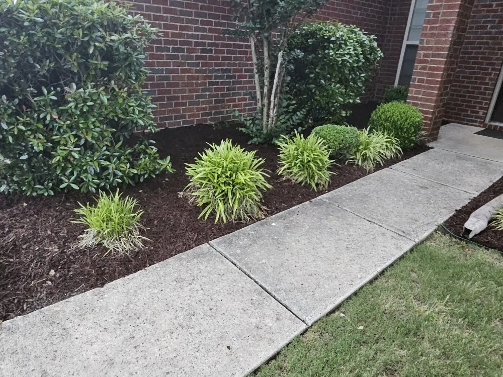 Local lawn mowing service in Madison, AL - BJ Mowing