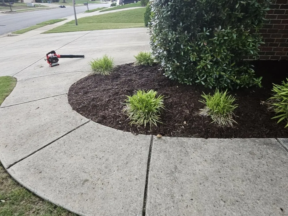 Expert lawn care service in Madison, AL by BJ Mowing