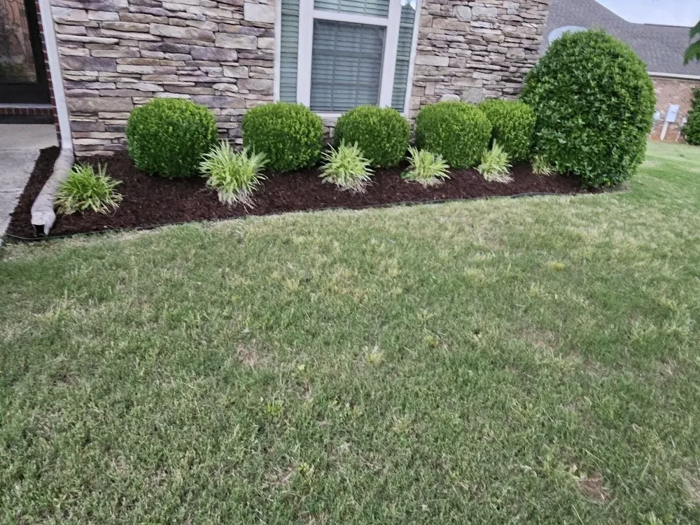 Professional landscaping services experts serving Madison, AL - BJ Mowing