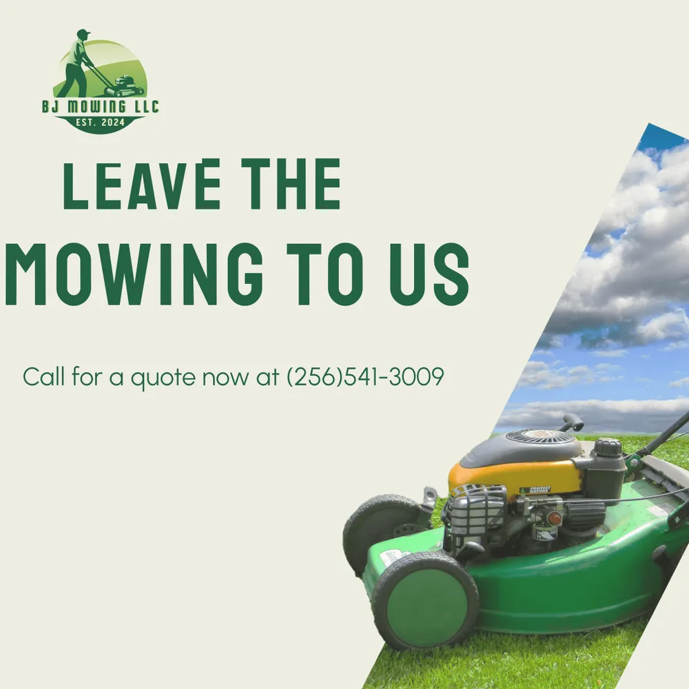 Top-rated yard cleanup service in Madison, AL - BJ Mowing