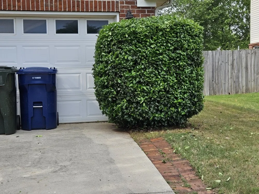 Top-rated yard maintenance near you in Madison, AL by BJ Mowing