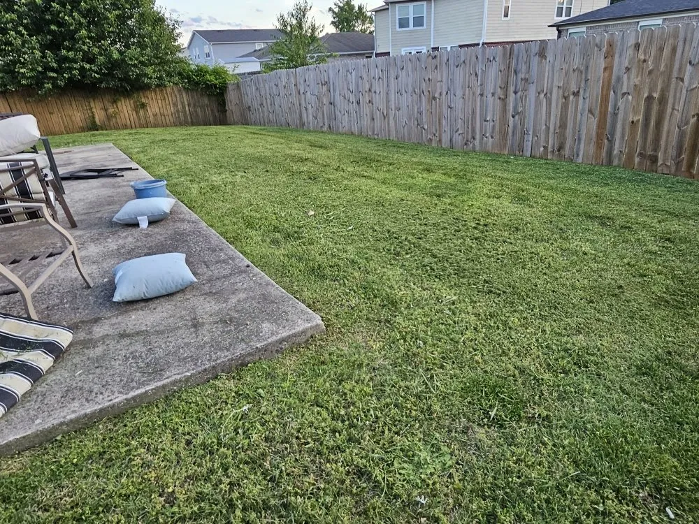 Professional outdoor landscaping for year-round maintenance in Madison, AL by BJ Mowing