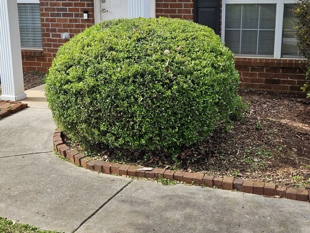 Reliable residential landscaping experts serving Madison, AL - BJ Mowing