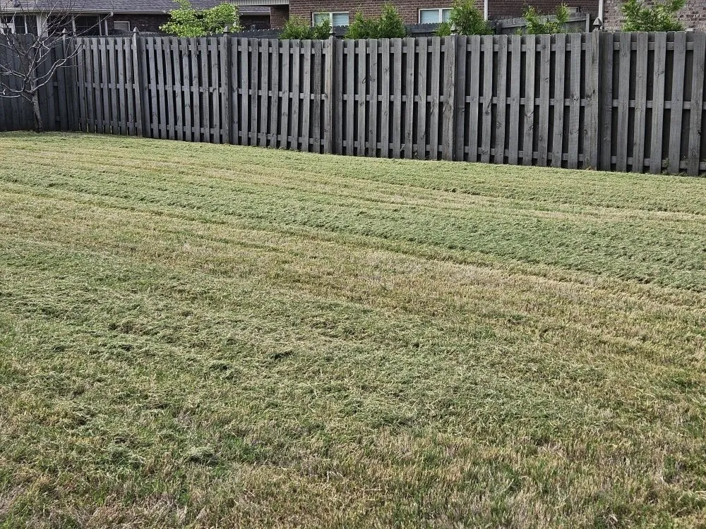 Local landscaping services in Madison, AL - BJ Mowing