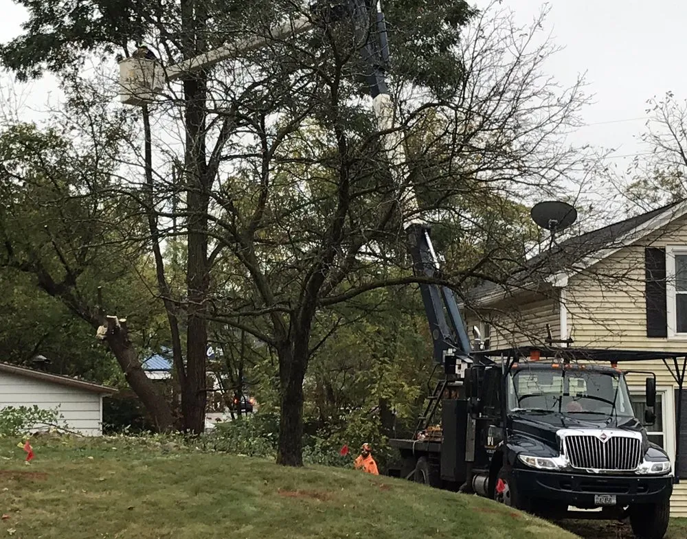 Top-rated landscape installation with custom design across Lake Geneva, WI - B&J Tree & Landscape Service