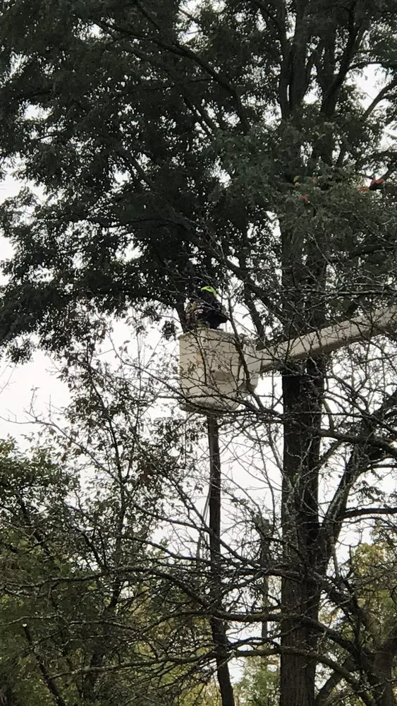 Custom garden landscaping experts serving Lake Geneva, WI - B&J Tree & Landscape Service