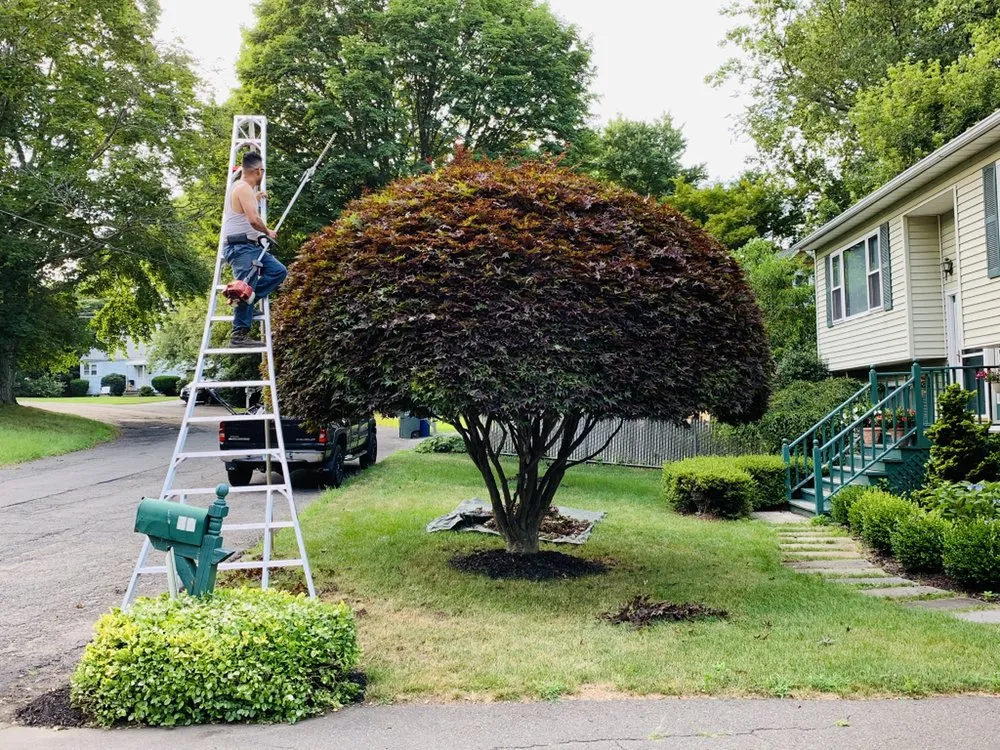 Professional landscape design in Norwalk, CT by BJA Bros Landscaping Service