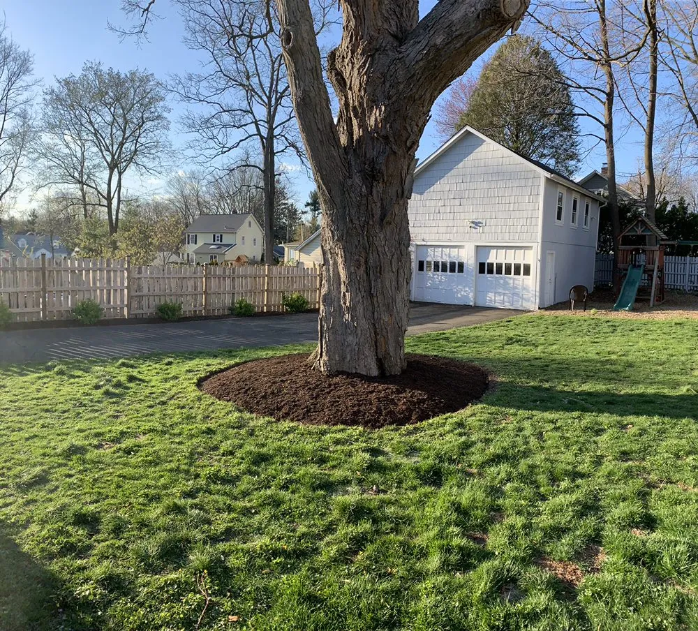 Top-rated lawn mowing service experts serving Norwalk, CT - BJA Bros Landscaping Service