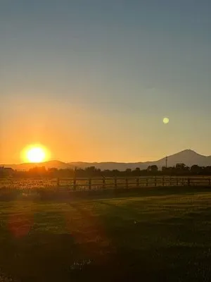 BJB Landscaping Services