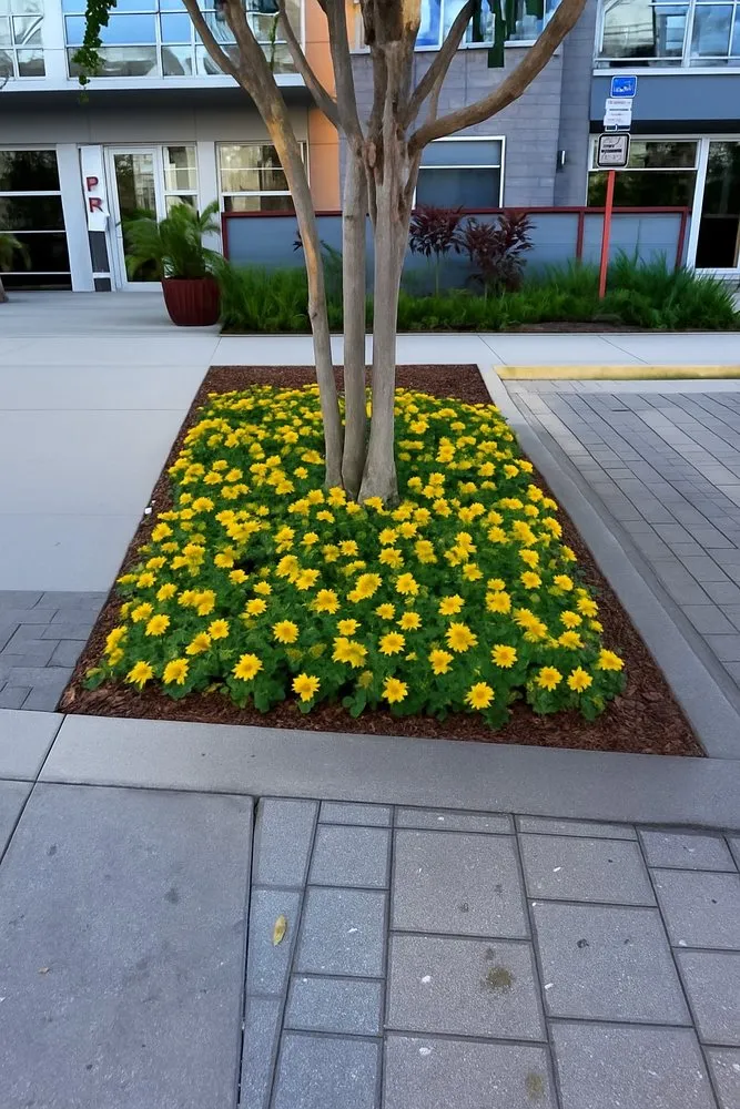 Affordable yard cleanup service with custom design across Deltona, FL - Bj&Bj Landscaping