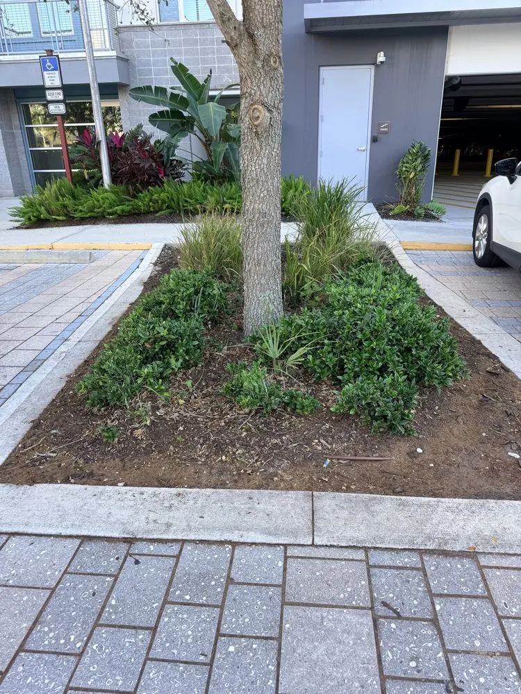 Top-rated landscaping services experts serving Deltona, FL - Bj&Bj Landscaping