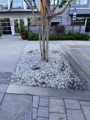 Bj&Bj Landscaping Logo