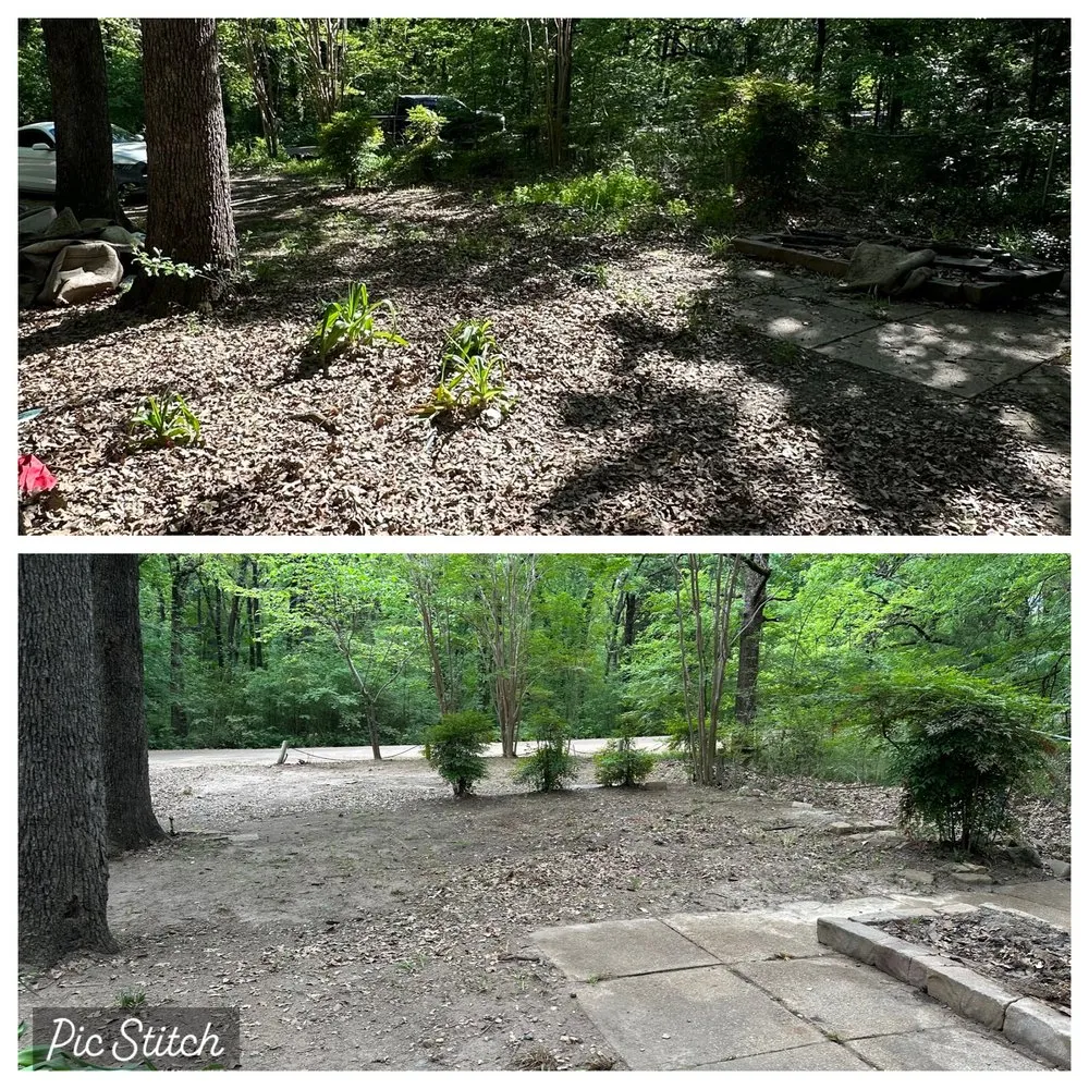 Trusted lawn care service for outdoor upgrades across Gun Barrel City, TX - BJC Lawn Service