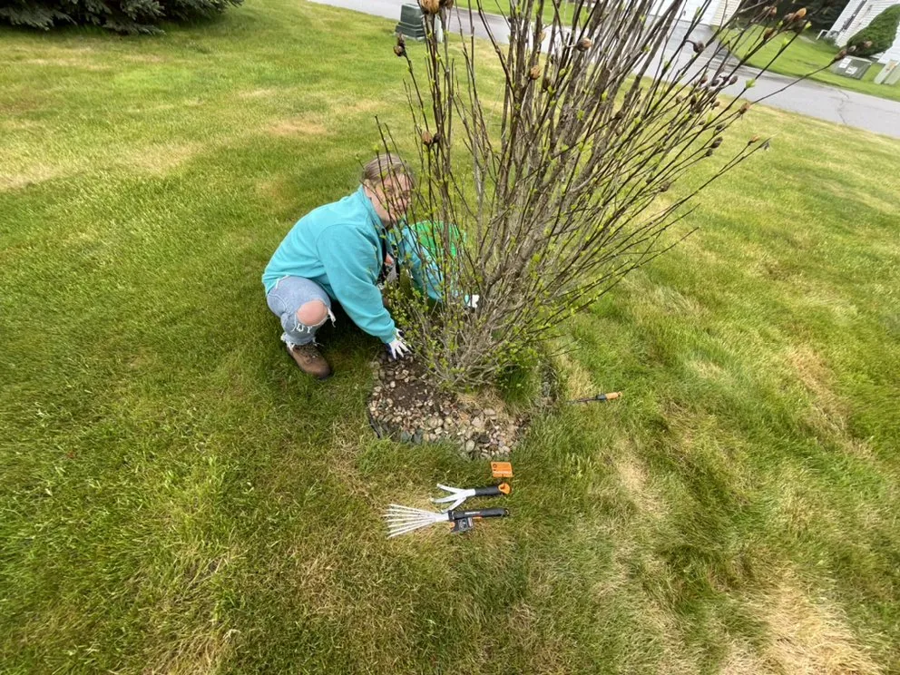 Expert yard cleanup service experts serving Morley, MI - BJ&L Lawn Service