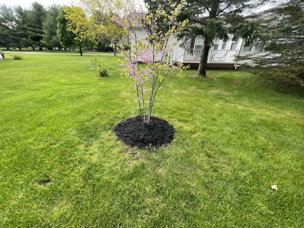 Affordable garden landscaping for homes in Morley, MI by BJ&L Lawn Service