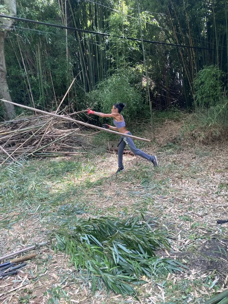 Reliable lawn care service with custom design in Downingtown, PA by BJ’s Bamboo Control & Removal