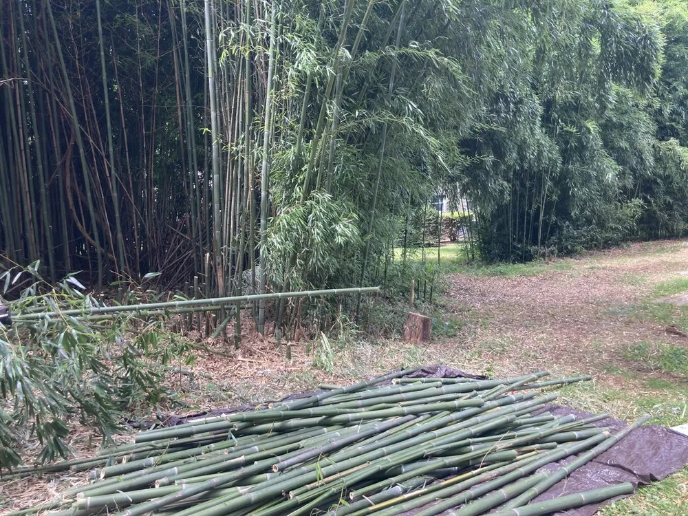 Top-rated lawn mowing service for homes in Downingtown, PA by BJ’s Bamboo Control & Removal