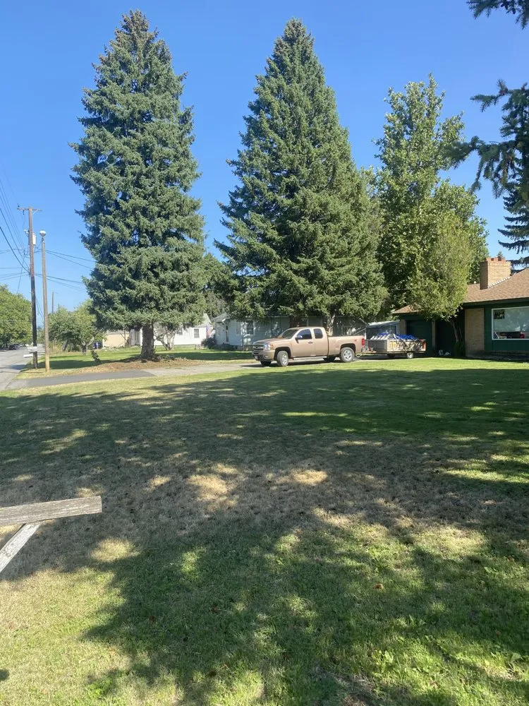 Reliable lawn mowing service experts serving Spokane, WA - B&J's Construction Makeover