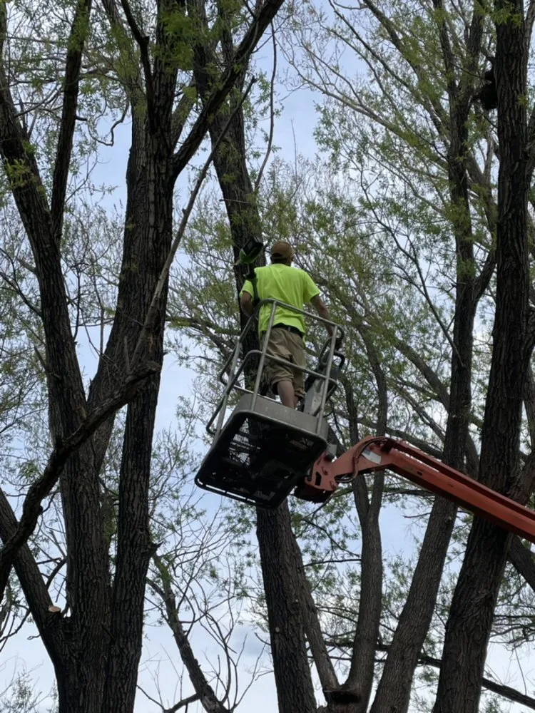Trusted yard cleanup service experts serving Shawano, WI - Bj’s Landscape And Maintenance