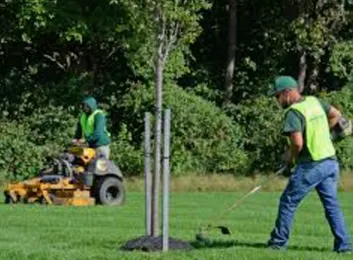 Affordable lawn mowing service in Weeki Wachee, FL by BJ's Landscaping & Tree Service